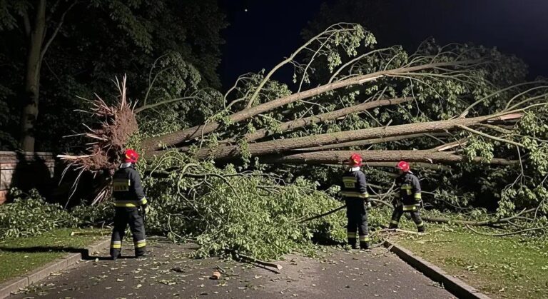 Tragédia na Bucovina Ultra Rocks 2025: Corredor Morre Durante Tempestade