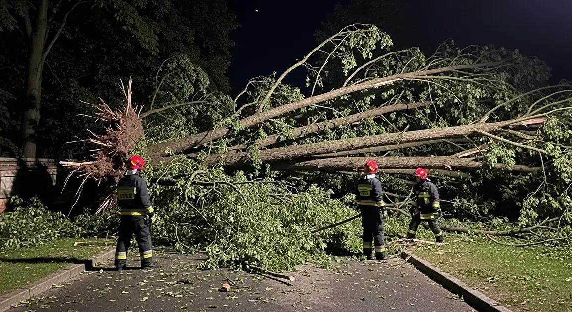 Tragédia na Bucovina Ultra Rocks 2025: Corredor Morre Durante Tempestade