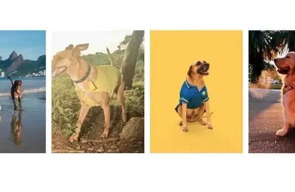 ASICS Lança Embaixadores Caninos da Campanha Mind’s Best Friend no Brasil