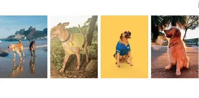 ASICS Lança Embaixadores Caninos da Campanha Mind’s Best Friend no Brasil