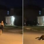 Grávida tenta induzir parto com corrida e acaba em acidente