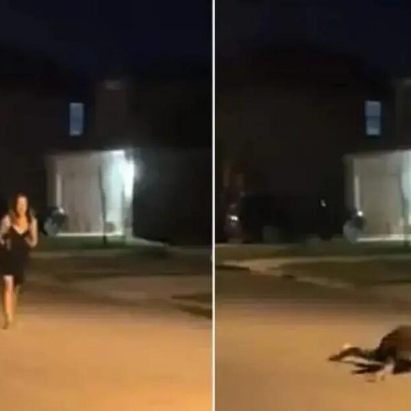 Grávida tenta induzir parto com corrida e acaba em acidente