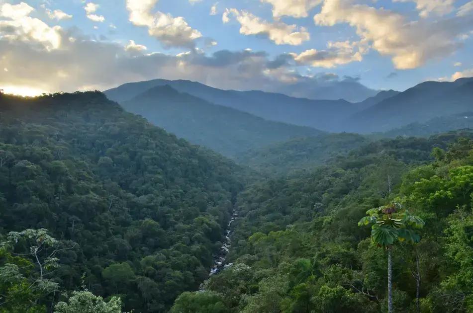 Parque Nacional do Itatiaia realiza corrida inclusiva para PCDs