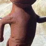 Beef Run: A corrida que une saúde e churrasco em Bagé