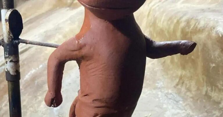 Beef Run: A corrida que une saúde e churrasco em Bagé