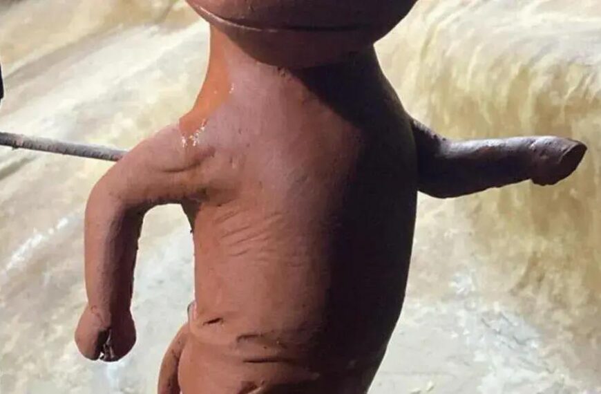 Beef Run: A corrida que une saúde e churrasco em Bagé