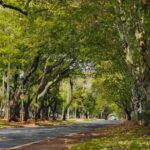 Foz do Iguaçu terá 11 corridas de rua aos domingos até dezembro