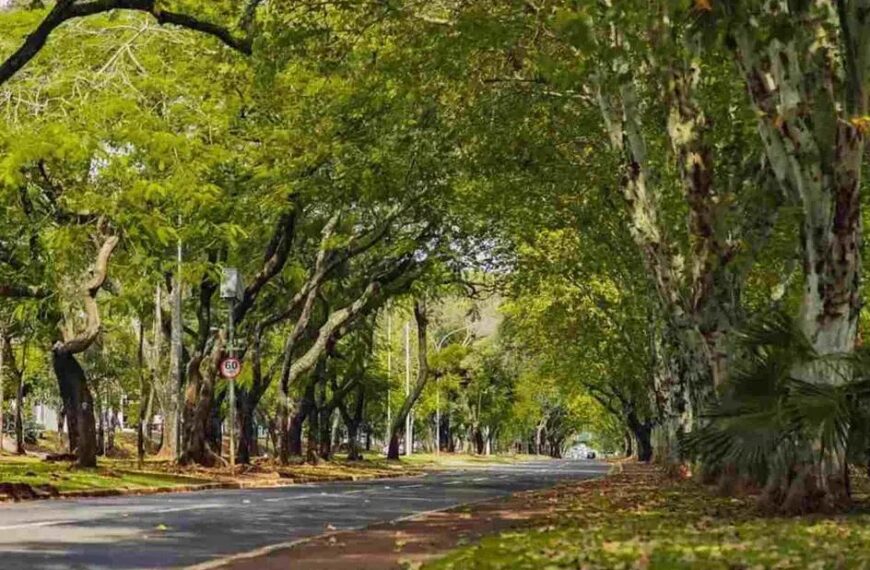 Foz do Iguaçu terá 11 corridas de rua aos domingos até dezembro