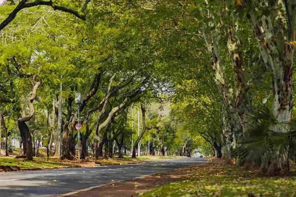 Foz do Iguaçu terá 11 corridas de rua aos domingos até dezembro