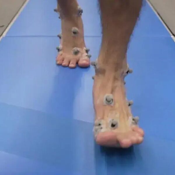 Corredores se Preparam para a 8ª Edição do Circuito Permanente Run