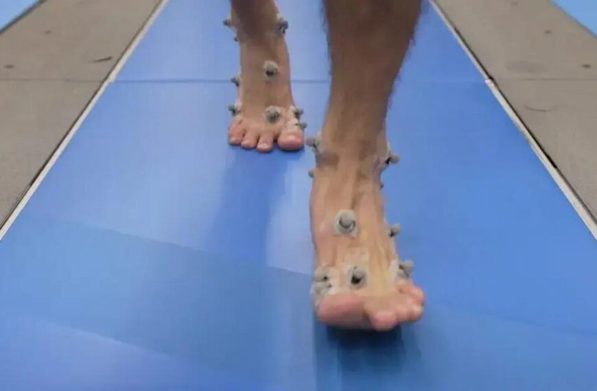 Corredores se Preparam para a 8ª Edição do Circuito Permanente Run