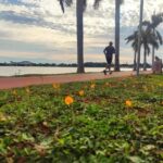 Participe da 1ª Corrida do Bem em Três Lagoas e ajude quem precisa