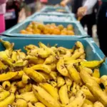 Ceasa traz frutas para a Noite dos Museus em Porto Alegre