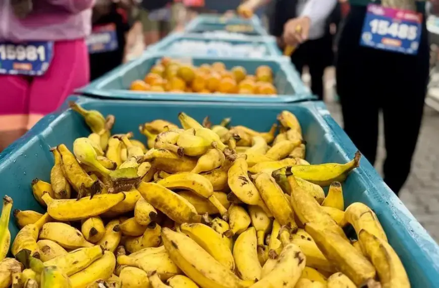 Ceasa traz frutas para a Noite dos Museus em Porto Alegre
